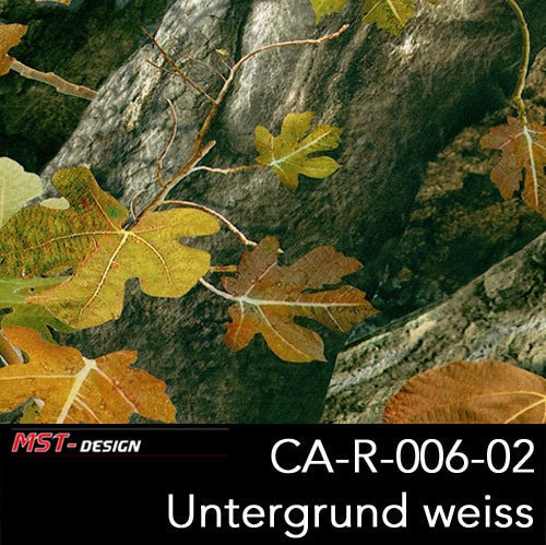 CA-R-006-02 - Camouflage Design